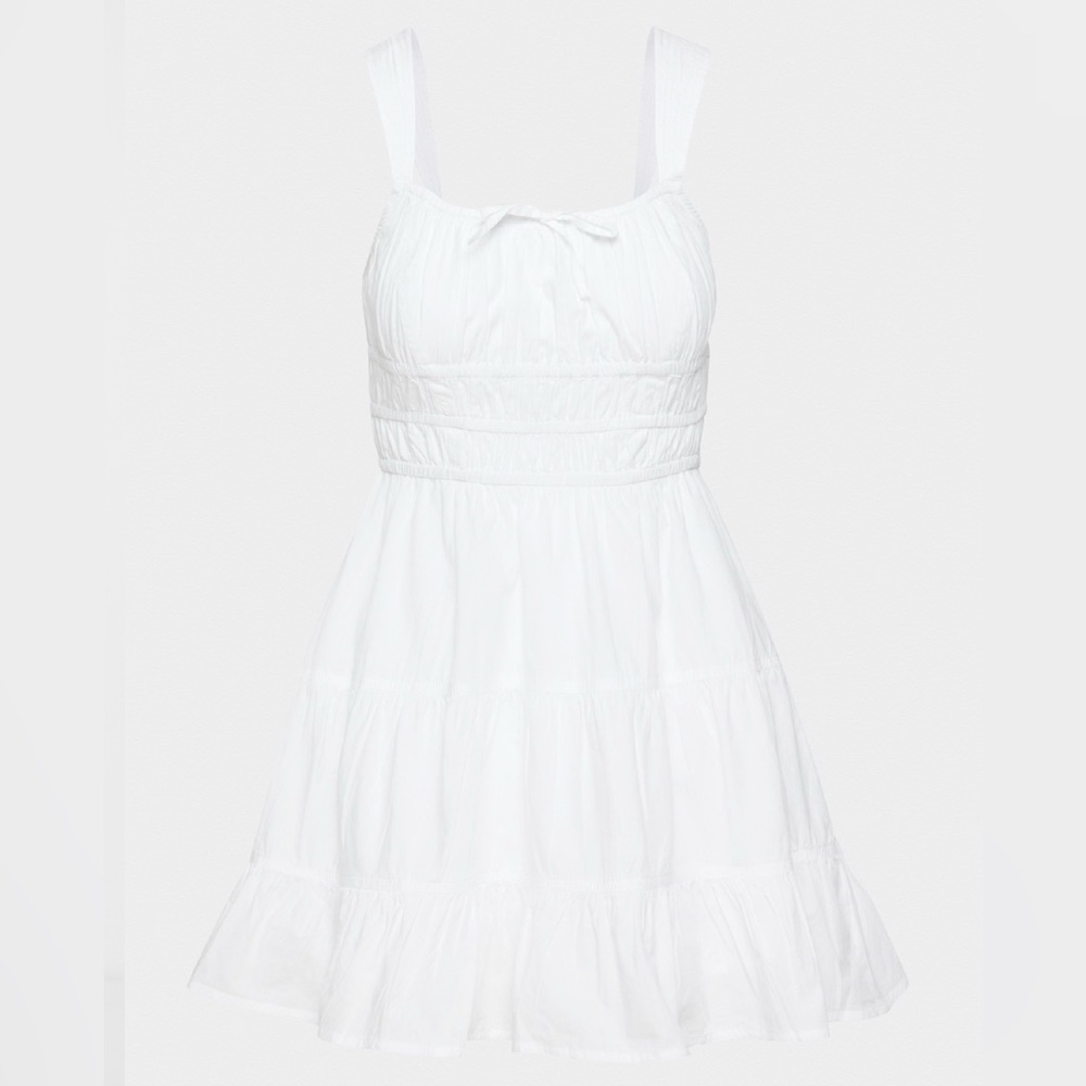 Aritzia Dress